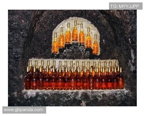 匈牙利足球黄金时代传奇球星的辉煌与影响力分析