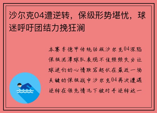 沙尔克04遭逆转，保级形势堪忧，球迷呼吁团结力挽狂澜